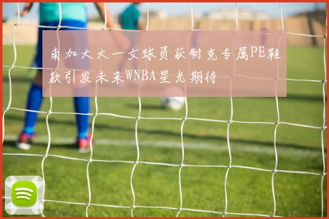 南加大大一女球员获耐克专属PE鞋款引发未来WNBA星光期待